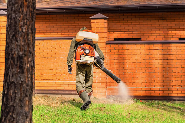 Bed Bug Clearance Verification and Documentation in Verona